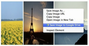 Google Chrome Extensions