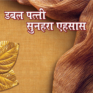 Swarn Villas
