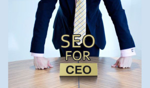 SEO is a slow but a very productive digital marketing approach and though it may give results after months of efforts, the results are long lasting.
