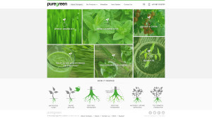 puregreen home page
