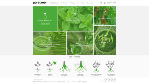 puregreen home page1