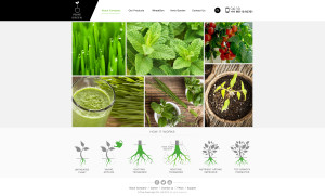 puregreen home page2