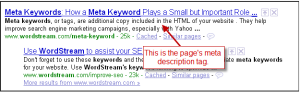 meta description