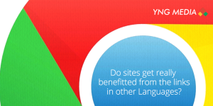 yng blog4