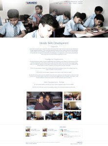 What We Do Details