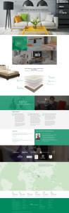 FF HOMEPAGE