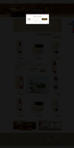 newsletter popup
