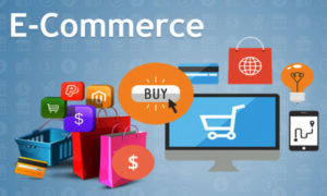 seo website