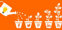 social media marketing