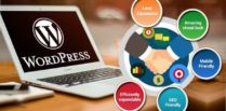 Why WordPress – A Perfect CMS For Your Website