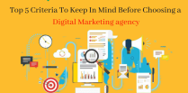Top 5 Criteria To Keep In Mind Before Choosing a Digital Marketing Agency | YNG Media