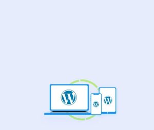 wordpress development mobile yngmedia