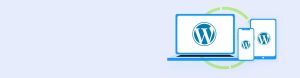 wordpress development yngmedia