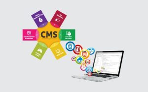 CMS Development