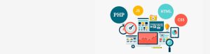 Best Website Design Company in Delhi