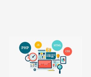 Best Website Design Company in Delhi