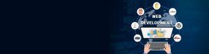 website development company in delhi