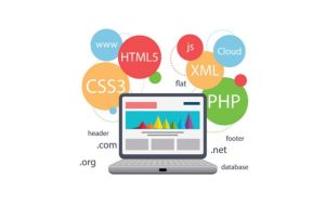 website development company in gurgaon2