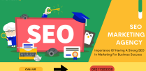 Importance Of Having A Strong SEO In Marketing For Business Success