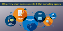 Why every small business needs digital marketing agency
